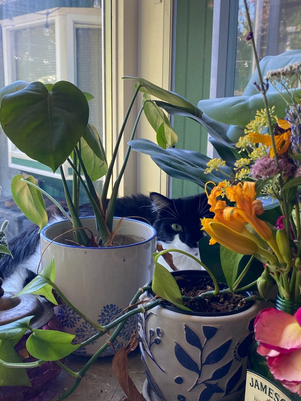 7 Ways to Low-Waste (without going&nbsp;broke)