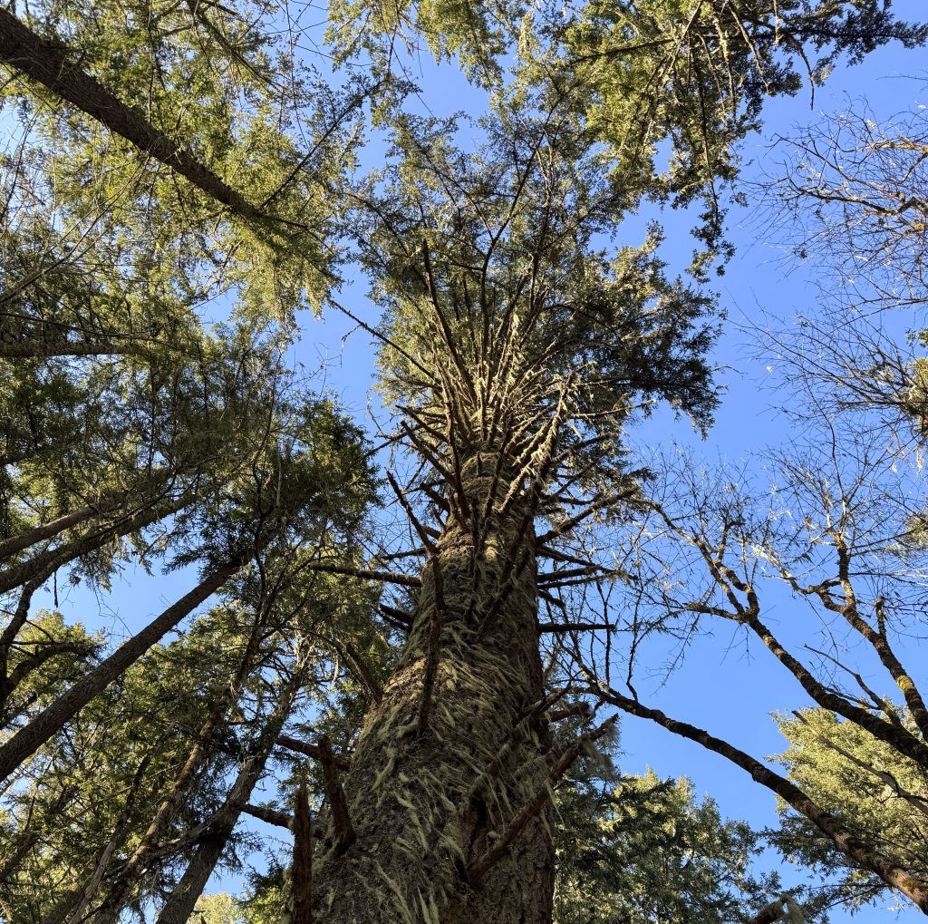 It’s All About the Little&nbsp;Things