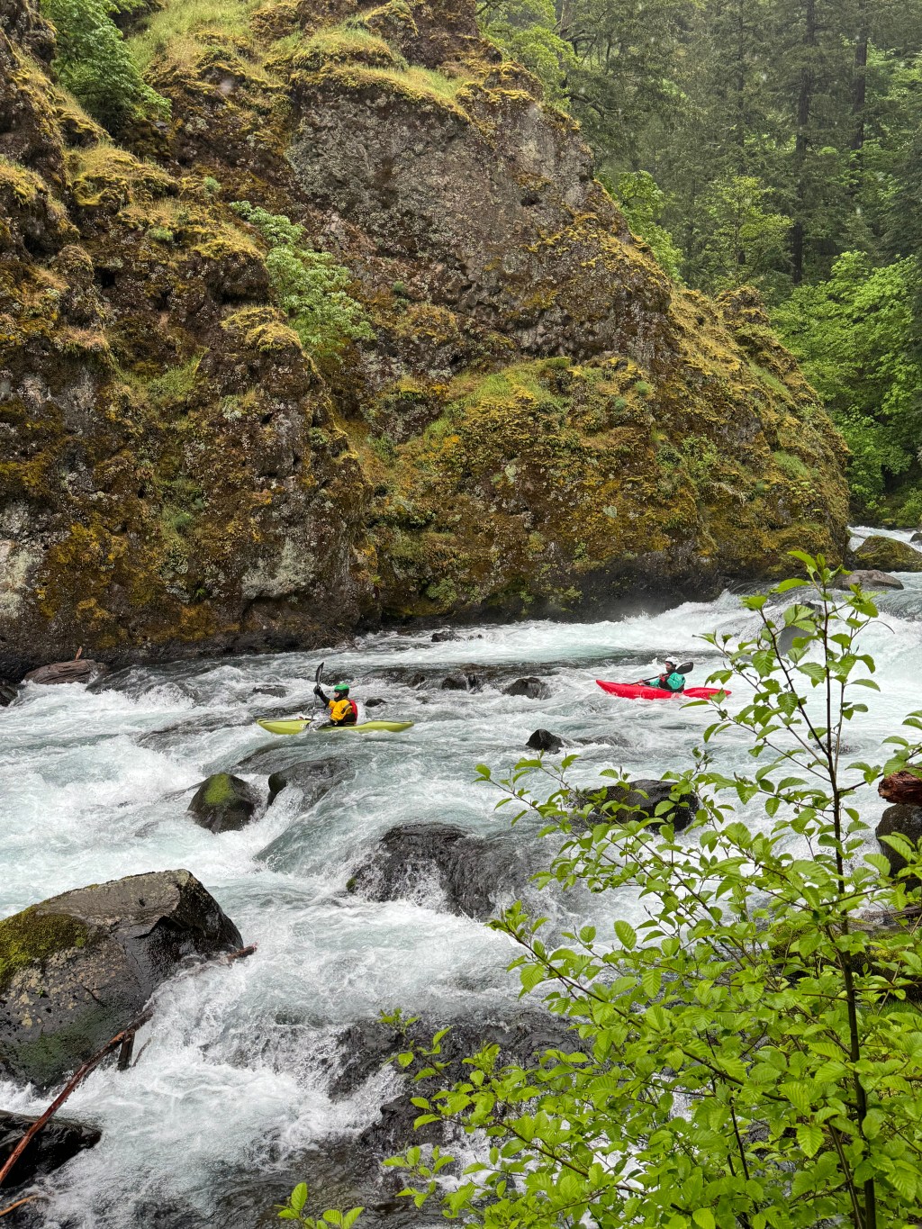 WWOOFING: A Sustainable Way to Grow, Learn, and&nbsp;Travel