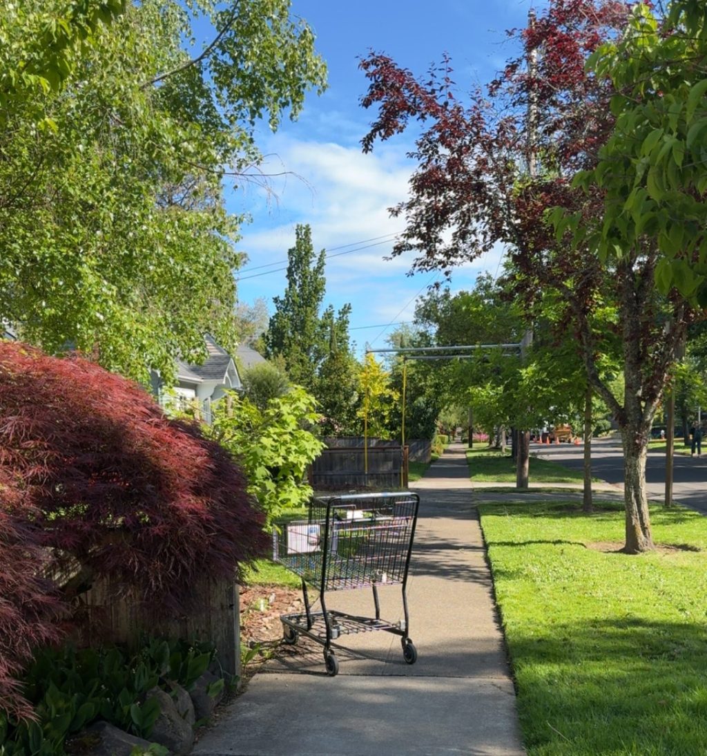 My Sustainable PR Journey: Leveraging Platforms for Science&nbsp;Communication