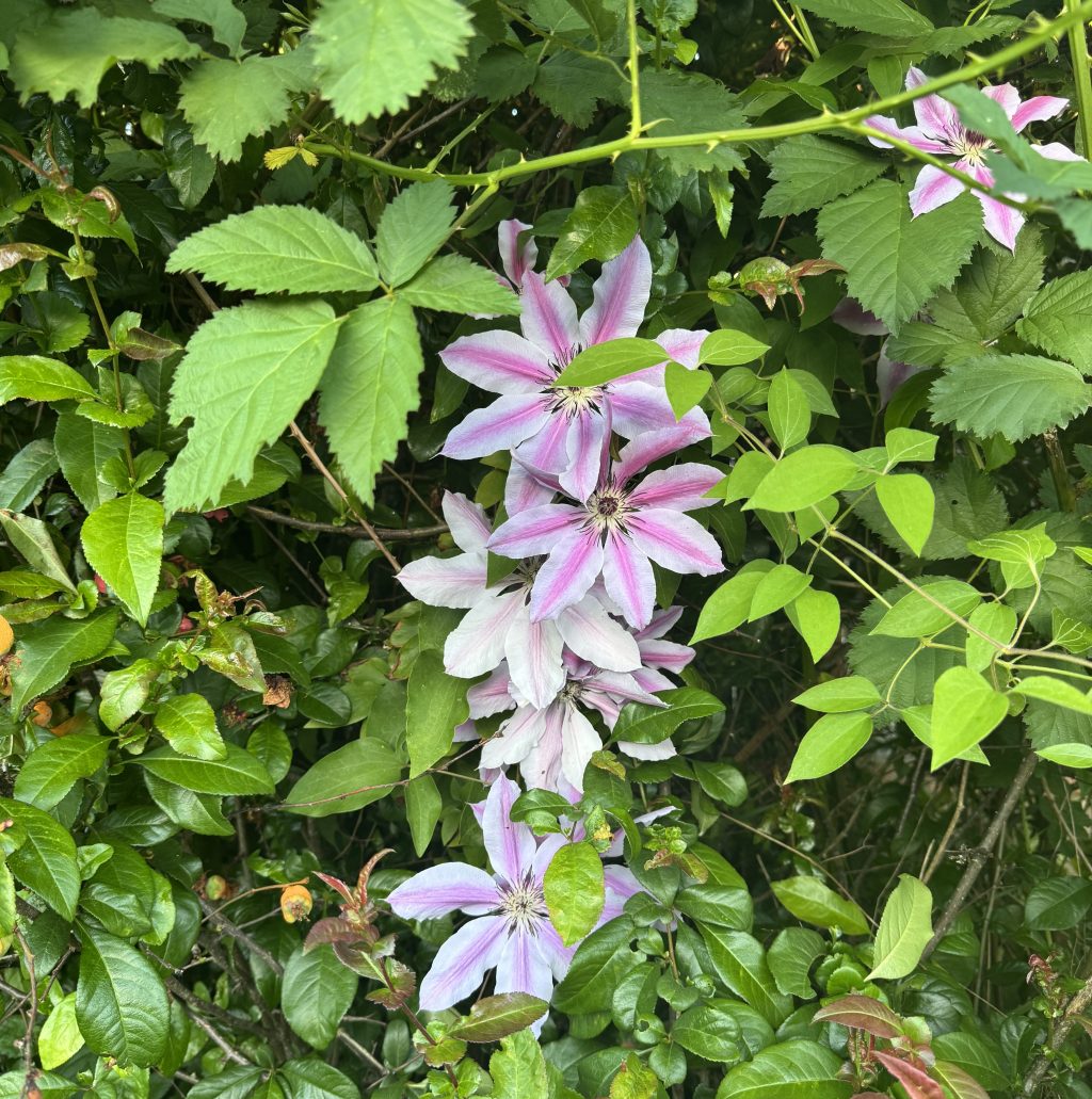 Visualizing Sustainability — What These 3 Infographics Taught&nbsp;Me